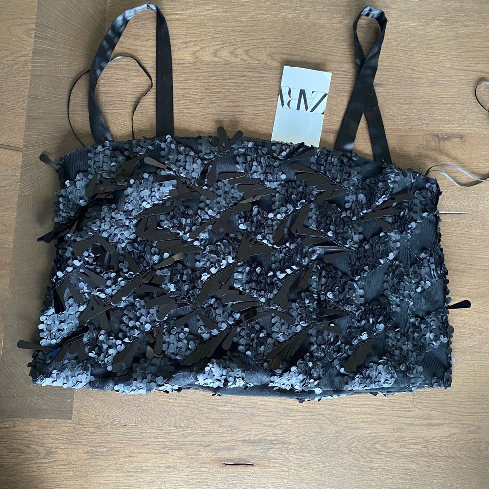 Zara sequin cropped top